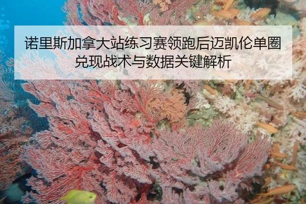 nuo-li-si-jia-na-da-zhan-lian-xi-sai-ling-pao-hou-mai-kai-lun-dan-quan-dui-xian-zhan-shu-yu-shu-ju-guan-jian-jie-xi-2-391.jpg