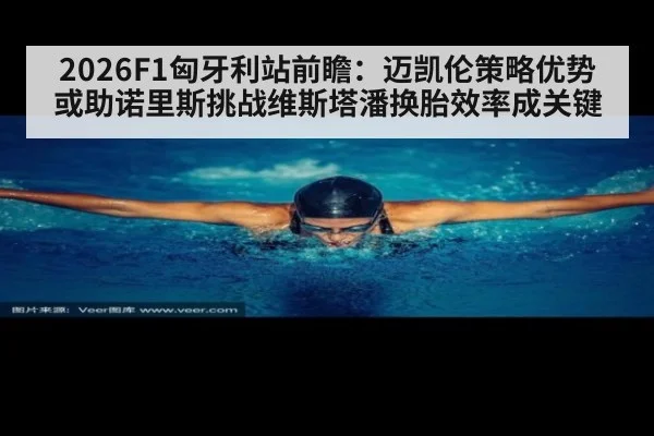 2026F1匈牙利站前瞻：迈凯伦策略优势或助诺里斯挑战维斯塔潘换胎效率成关键