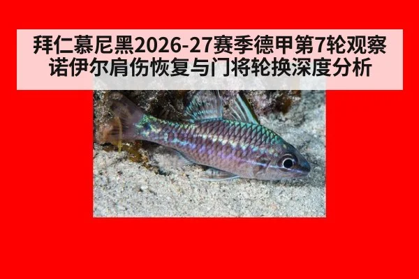 拜仁慕尼黑2026-27赛季德甲第7轮观察 诺伊尔肩伤恢复与门将轮换深度分析